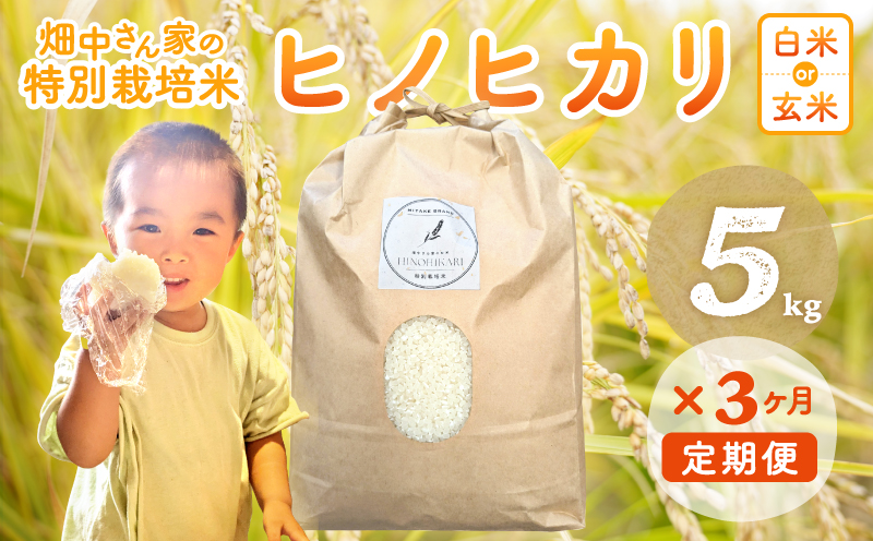 【3回定期便】減農薬 特別栽培米 畑中さん ひのひかり 白米5kg ヒノヒカリ 奈良県
