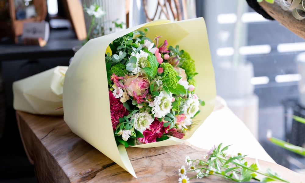 The Plants 闃ア譚 縺翫∪縺九○ 逕溯干 繧ョ繝輔ヨ 繝輔Λ繝ッ繝シ 蜀キ阡オ 繧「繝ャ繝ウ繧ク繝。繝ウ繝 豈阪ョ譌・ 辷カ縺ョ譌・ 隱慕函譌・ 縺顔・昴> 險伜ソオ譌・