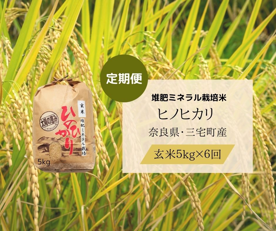 縲6蝗槫ョ壽悄萓ソ縲代後イ縺ョ縺イ縺九j縲咲私邀ウ 5kg テ 6繝カ譛 騾」邯壹〒縺雁ア翫¢ 蜈ィ30kg 螂郁憶逵 荳牙ョ逕コ 蠢怜沮邀ウ遨蠎 繝偵ヮ繝偵き繝ェ 蜀キ繧√※繧ゅ♀縺縺励> 繧ゅ■繧ゅ■ 蝣閧・繝溘ロ繝ゥ繝ォ譬ス蝓ケ邀ウ