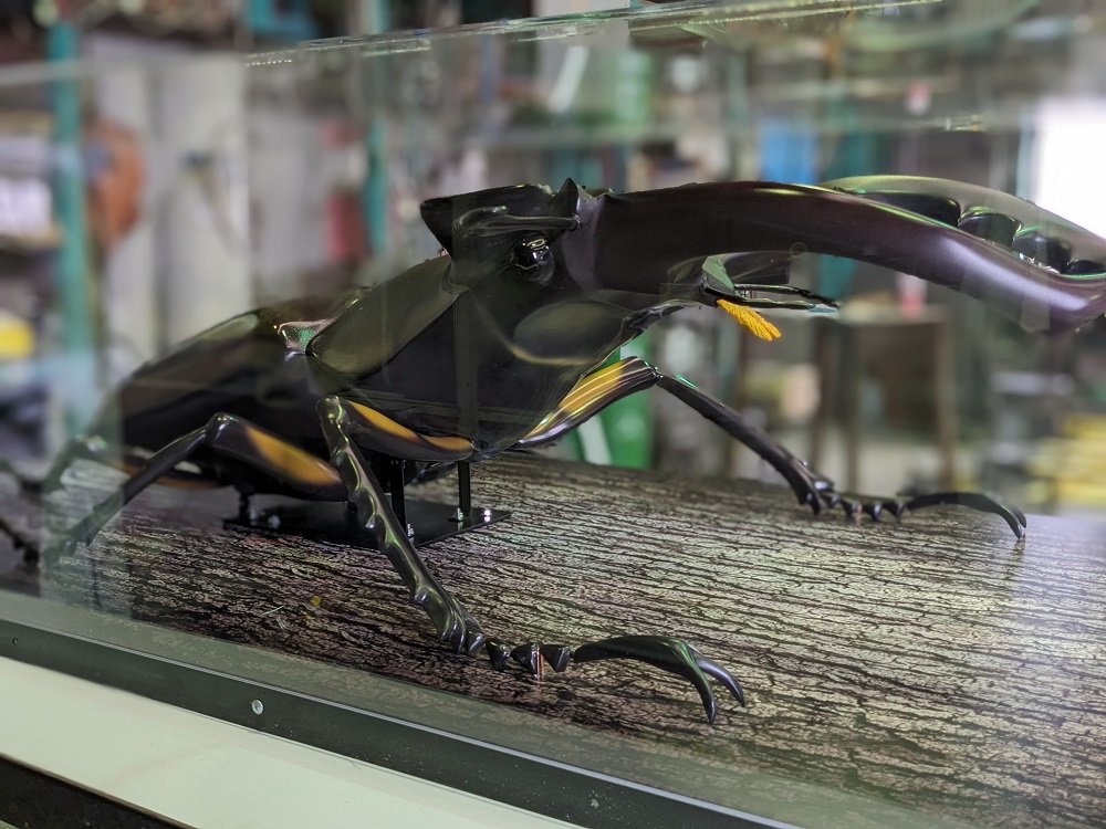 ミヤマ クワガタ 大型 リアル 模型 クワガタ 昆虫 おもちゃ 飾り（透明ケース付）奈良県 三宅町 プロアート