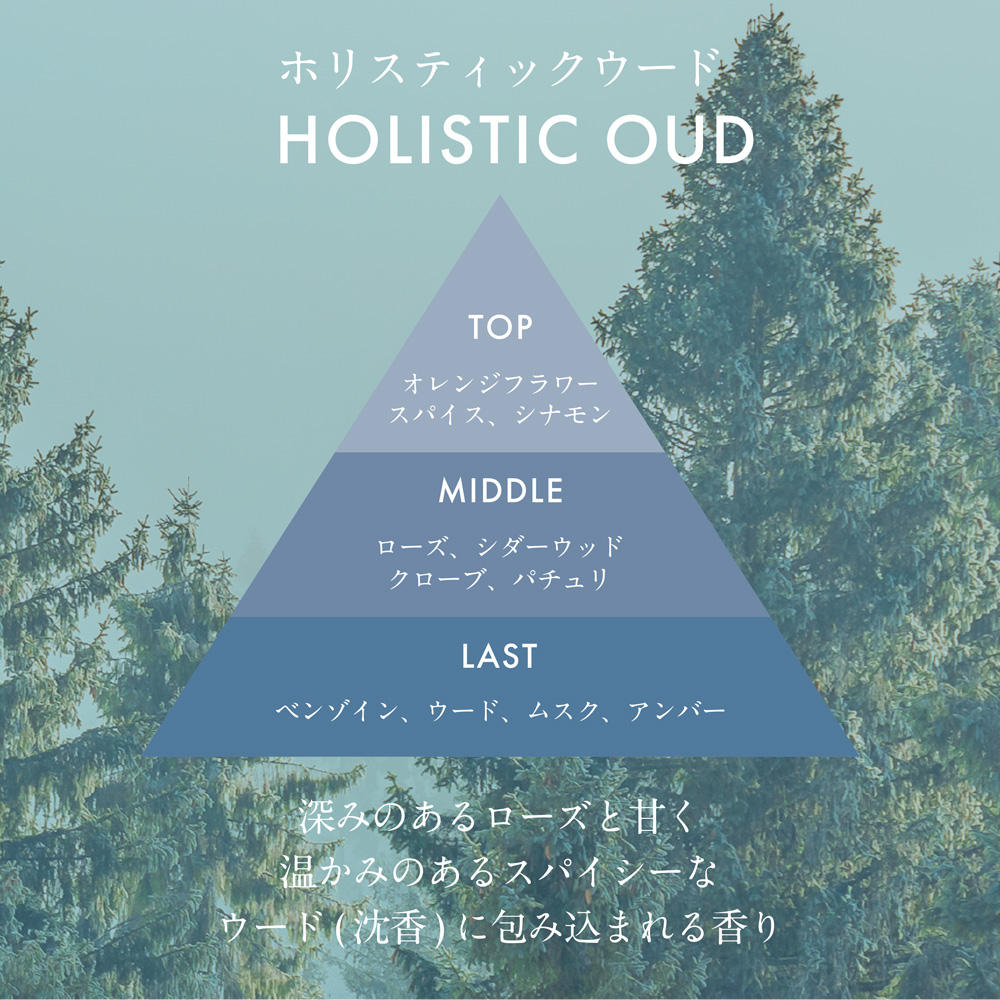 ãŠã㪠ãªãŒã ãã£ãã¥ãŒã¶ãŒ ããªã¹ãã£ãã¯ãŠãŒã ã«ãŒã ãã¬ã°ã©ã³ã¹ æŽéŠå HARUKADO è³éŠå€ ã€ã³ããªã¢ ã¢ãã éŠã ãªãã³ã° çé¢ ãããã«ãŒã è» ãã¬ãŒã³ã ã®ãã