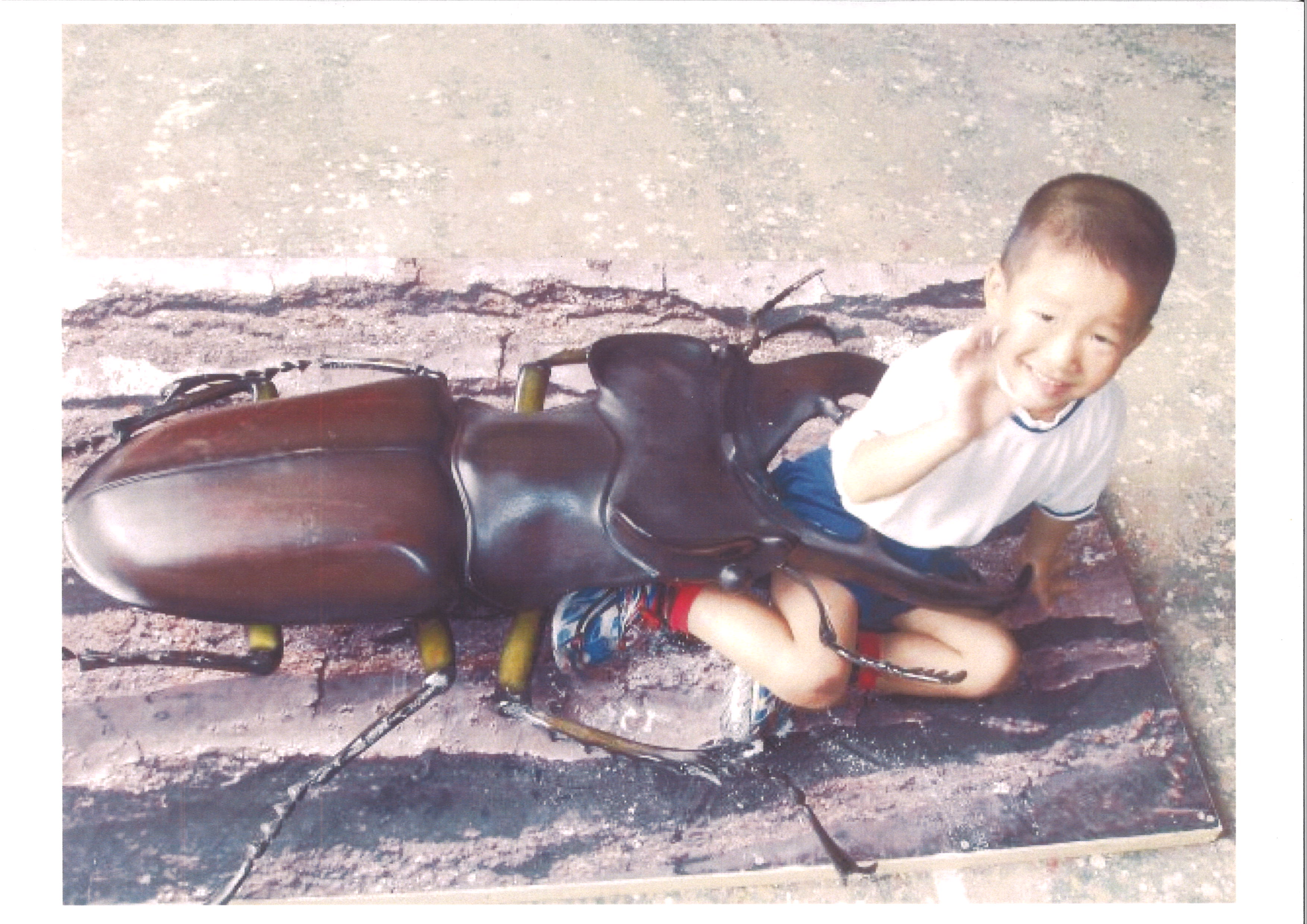 ミヤマ クワガタ 大型 リアル 模型 クワガタ 昆虫 おもちゃ 飾り（透明ケース付）奈良県 三宅町 プロアート