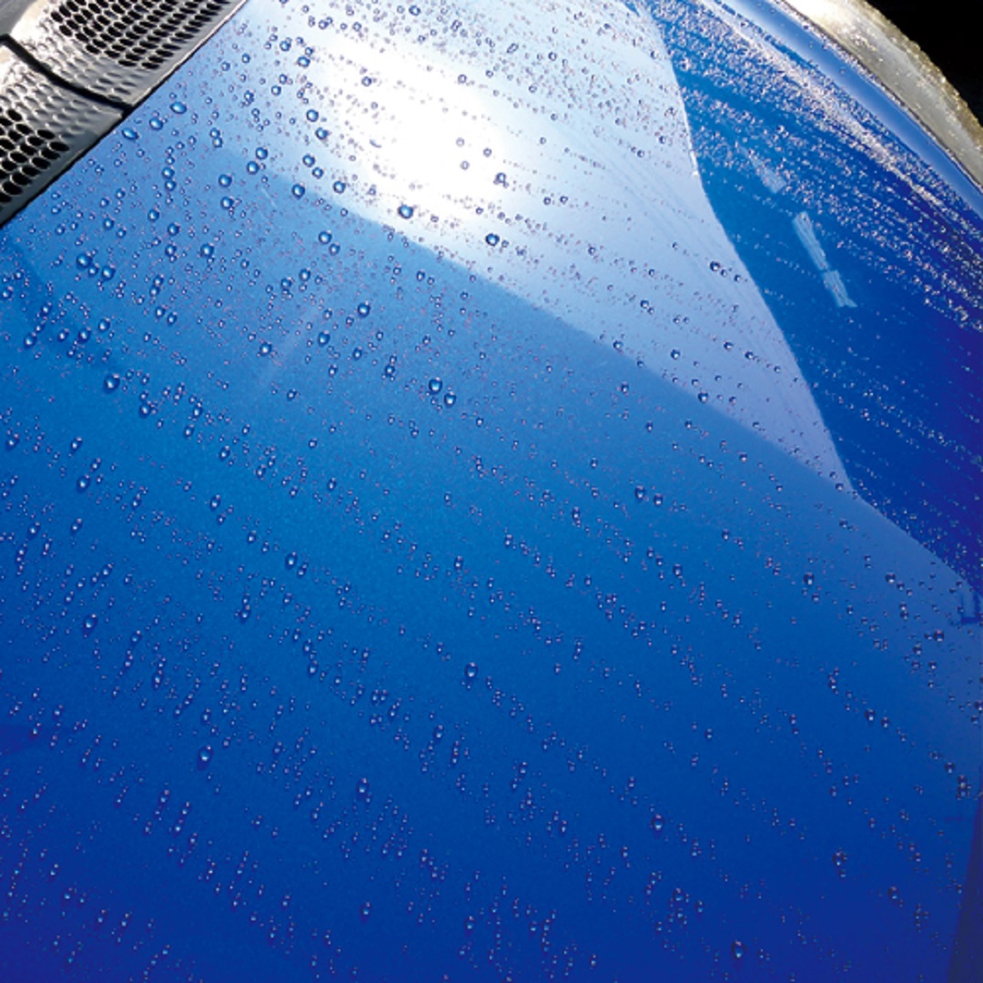 霆翫∪繧九#縺ィ繝ッ繝繧ッ繧ケ繧ケ繝励Ξ繝シ 譎エ鬥吝 HARUKADO