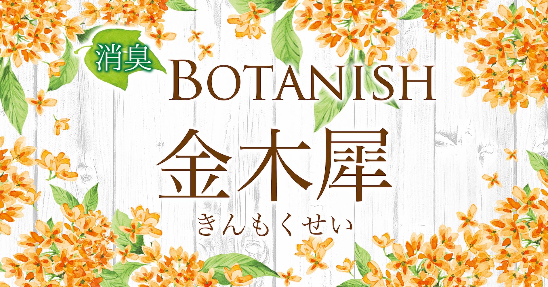 ボタニッシュエア ２個パック キンモクセイ 晴香堂 HARUKADO