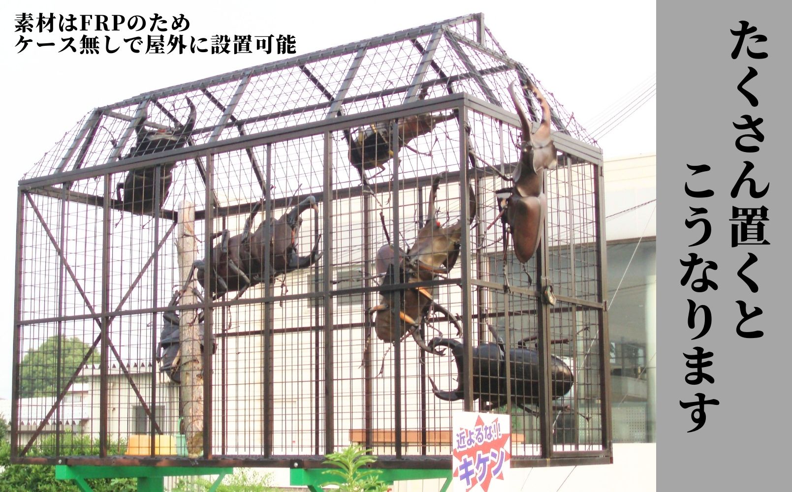 ミヤマ クワガタ 大型 リアル 模型 クワガタ 昆虫 おもちゃ 飾り（透明ケース付）奈良県 三宅町 プロアート