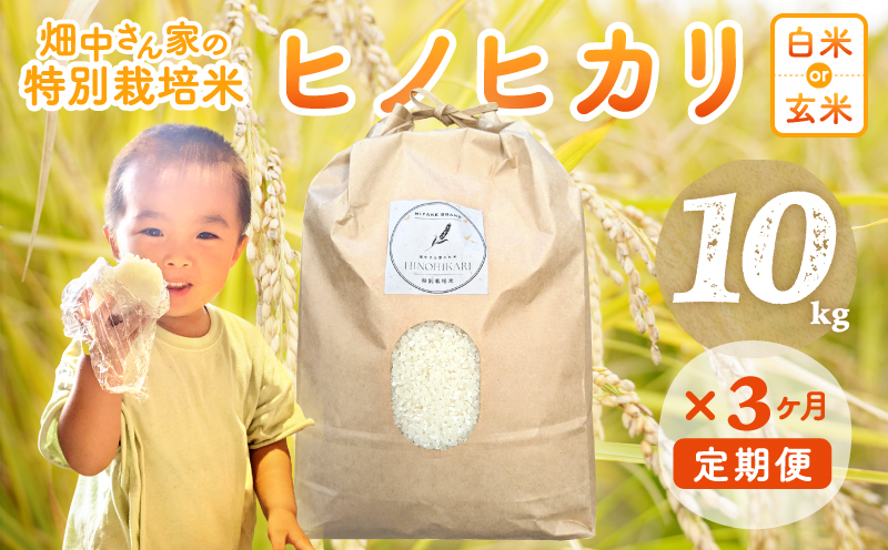【3回定期便】減農薬 特別栽培米 畑中さん ひのひかり 白米 10kg ヒノヒカリ 奈良県