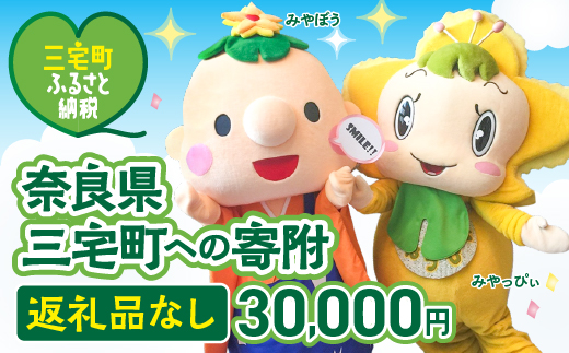 三宅町への応援 寄附（返礼品はありません） 奈良県 三宅町 返礼品なし 1口 30000円