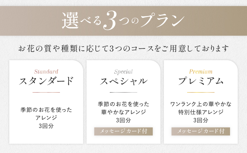 花 ふるさと定期便 3回 お届け 三宅町に住む家族へ 花束 ギフト The Plants:スタンダード