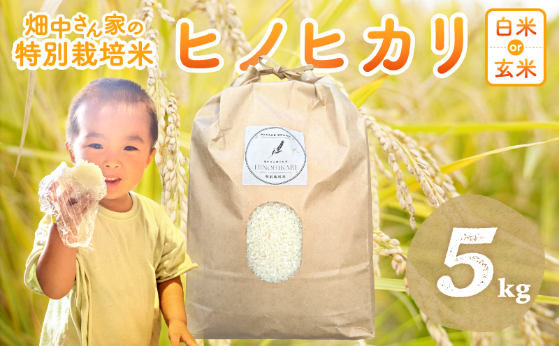 特別栽培米 減農薬 畑中さんの ひのひかり 白米 5kg ヒノヒカリ 奈良県 三宅町