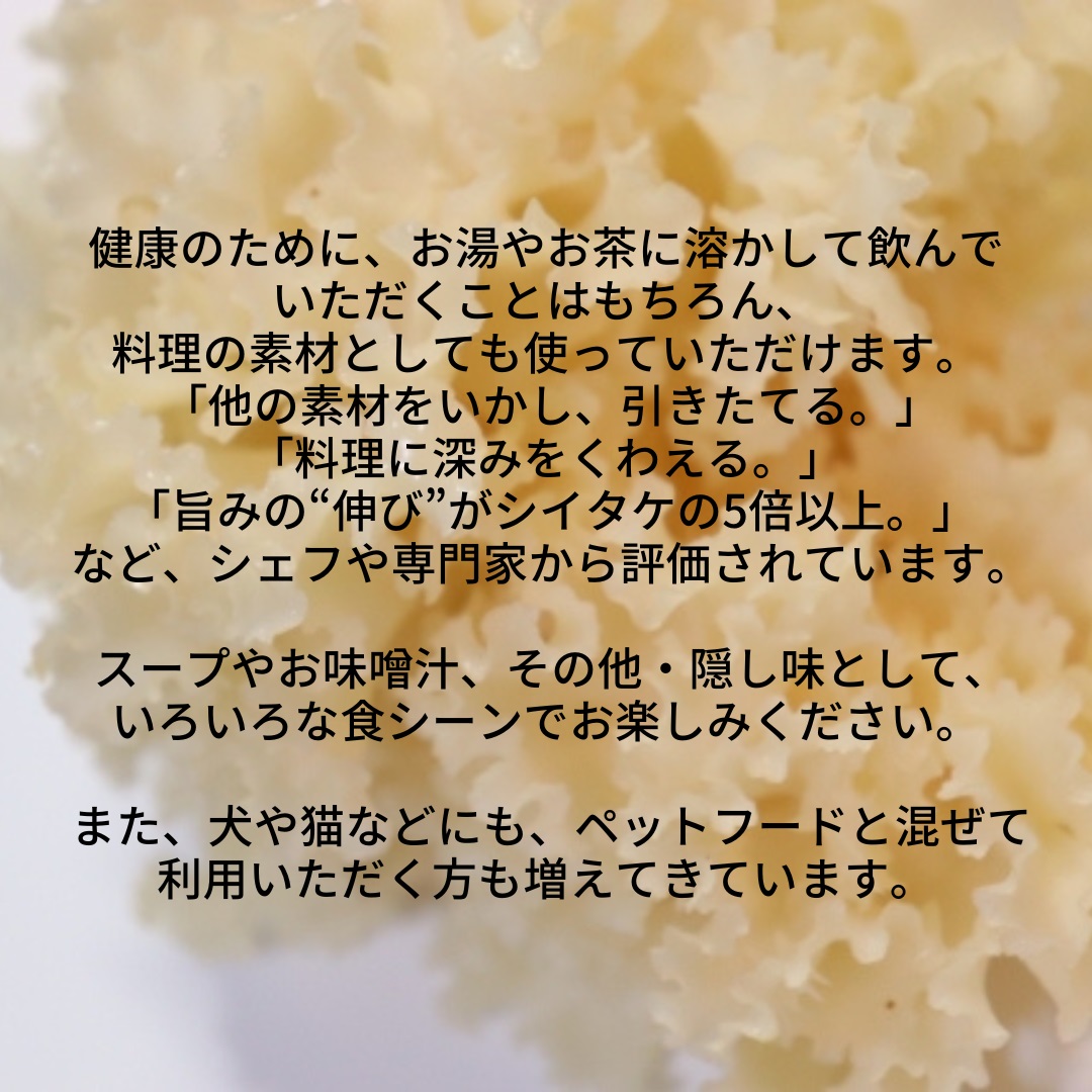 ハナビラタケパウダー 幻のきのこ 1袋 (100g×1) ～ 3袋 (100g×3)キノコ ハナビラタケ 大和菌学研究所：１袋