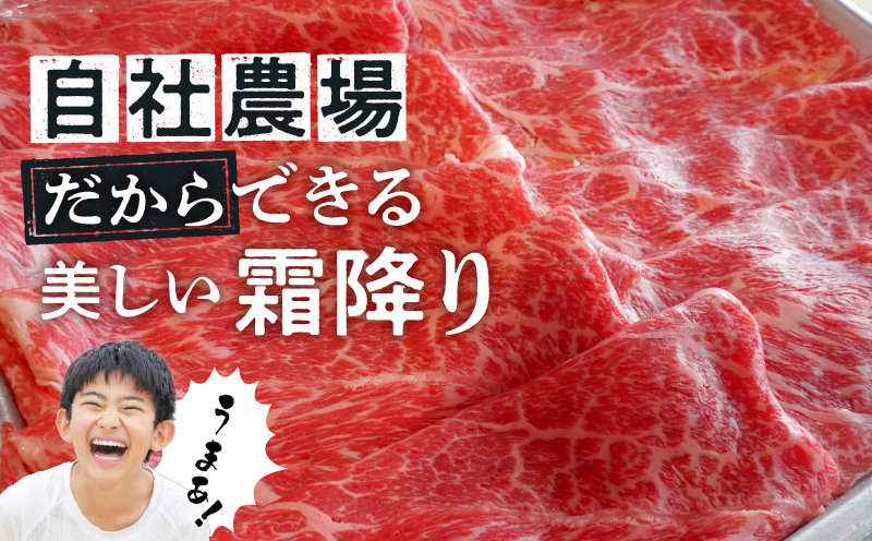 ã6åå®æäŸ¿ã å³éž ïŒ åœç£ çè åãèœãšã 400g å°åã ç空ãã㯠(200gÃ2) å°éåã ç䞌 ã«ã¬ãŒ äŸ¿å© ãåãå¯ã ã°ã«ã¡ é£å ããçŒã ããã¶ããã¶ é çŒè éæ¿çŒ ãããã ãåãå¯ã ã®ãã ãã¬ãŒã³ã