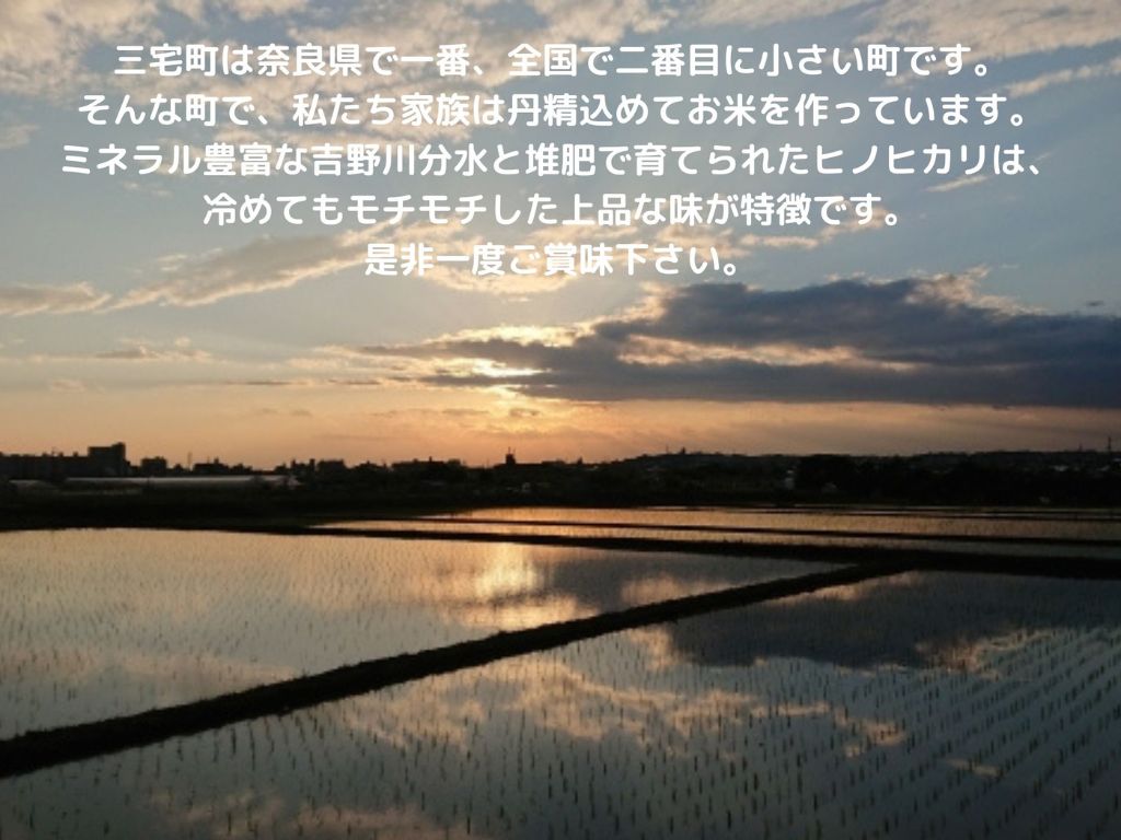 縲3蝗槫ョ壽悄萓ソ縲代後イ縺ョ縺イ縺九j縲咲私邀ウ 5kg テ 3繝カ譛 騾」邯壹〒縺雁ア翫¢ 蜈ィ15kg 螂郁憶逵 荳牙ョ逕コ 蠢怜沮邀ウ遨蠎 繝偵ヮ繝偵き繝ェ 蜀キ繧√※繧ゅ♀縺縺励> 繧ゅ■繧ゅ■ 蝣閧・繝溘ロ繝ゥ繝ォ譬ス蝓ケ邀ウ