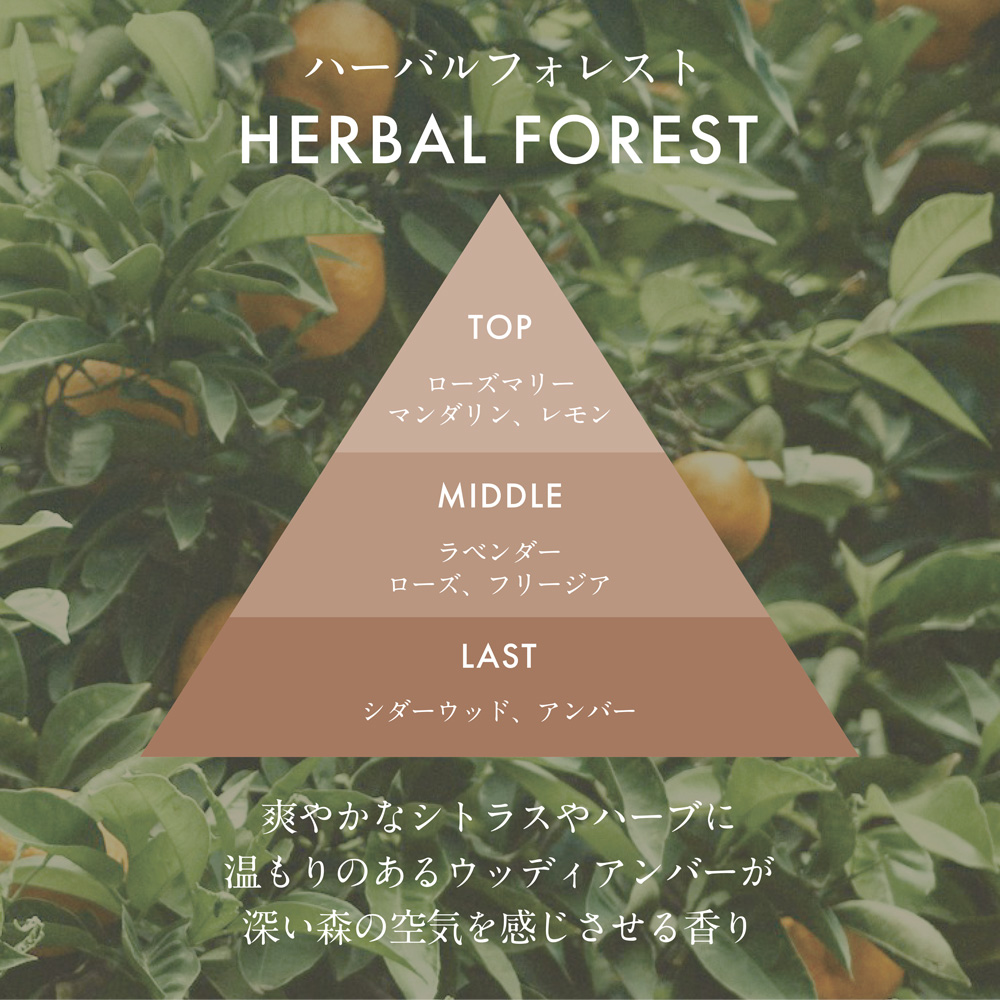 ãŠã㪠ãªãŒã ãã£ãã¥ãŒã¶ãŒ ããŒãã«ãã©ã¬ã¹ã ã«ãŒã ãã¬ã°ã©ã³ã¹ æŽéŠå HARUKADO è³éŠå€ ã€ã³ããªã¢ ã¢ãã éŠã ãªãã³ã° çé¢ ãããã«ãŒã è» ãã¬ãŒã³ã ã®ãã