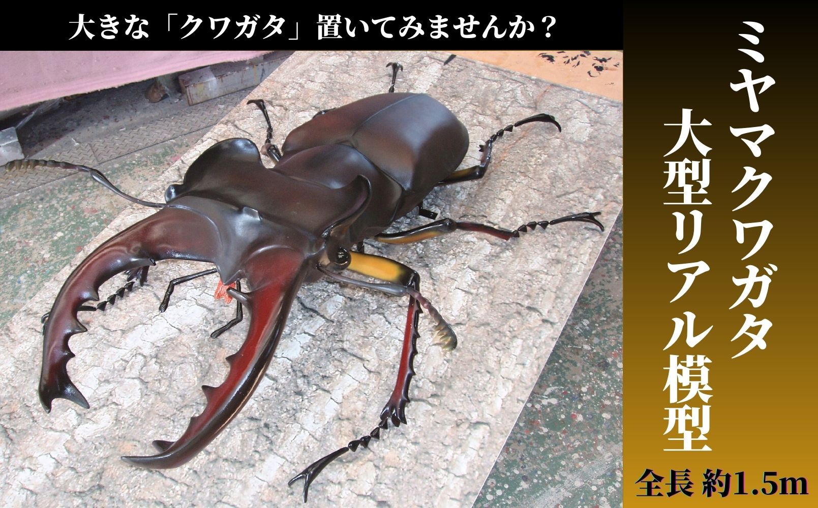 ミヤマ クワガタ 大型 リアル 模型 クワガタ 昆虫 おもちゃ 飾り（透明ケース付）奈良県 三宅町 プロアート
