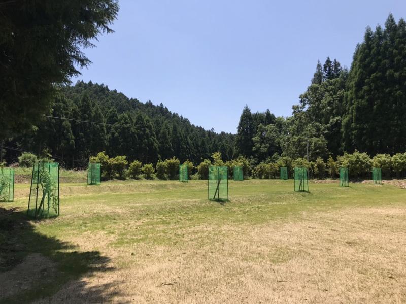 キャンプ 旅行 チケット / 奈良県のキャンプ場 TAWAキャンプ場区画Aサイト施設利用券 / 旅行チケット キャンプ区画A