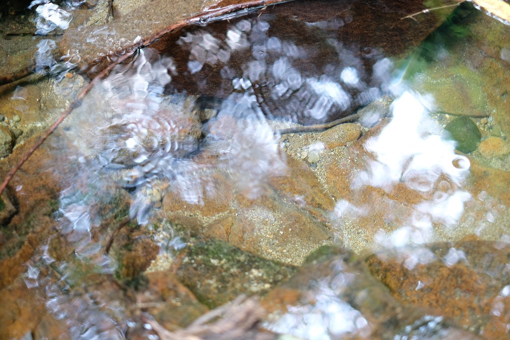 【令和7年度産(特別栽培米)】曽爾村ブランド米曽爾米(コシヒカリ)2kg(白米)