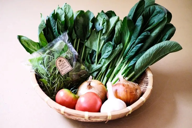 【2026年6月より順次発送】 曽爾高原野菜５種５品〜小さなご家庭食べきりサイズ〜を５ヶ月連続でお届けします 野菜定期便