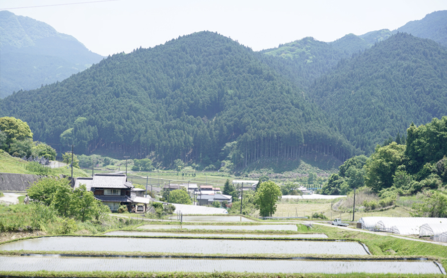 曽爾村地域旅行券 〜10,000円分〜 めぐみ感じる曽爾村 NARA SONI VILLAGE 地域旅行券 / 旅行 関西 近畿 奈良 曽爾 曽爾高原 アウトドア 旅 体験 宿泊 宿泊券 旅行券 イベントやチケット等 地元のお買物券