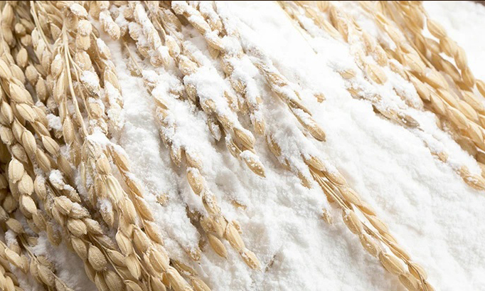 大人気 フィナンシェ 米粉のお菓子・スイーツ 奈良県曽爾村産米粉を使ったお菓子・スイーツ フィナンシェ20本セット/ お菓子・スイーツ 焼き菓子 フィナンシェ洋菓子