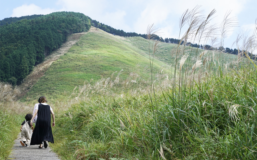 曽爾村地域旅行券 〜3,000円分〜 めぐみ感じる曽爾村 NARA SONI VILLAGE 地域旅行券 / 旅行 関西 近畿 奈良 曽爾 曽爾高原 アウトドア 旅 体験 宿泊 宿泊券 旅行券 イベントやチケット等 地元のお買物券
