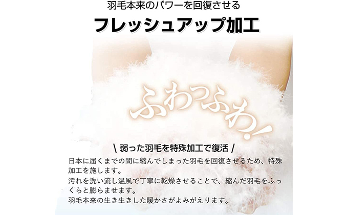 羽毛布団シングル二枚合わせ 合掛布団0.8kg/肌掛布団0.3kg オールシーズン対応 ネイビー 寝具 掛け布団 軽量 立体キルト 春 夏 秋 冬 