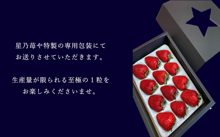 【先行予約】【古都華】1パック 2025年2月発送 ///苺 いちご イチゴ ストロベリー  古都華 奈良 奈良県 広陵町 生産者直送  直送 厳選 数量限定 旬 フルーツ 甘い 完熟 果物