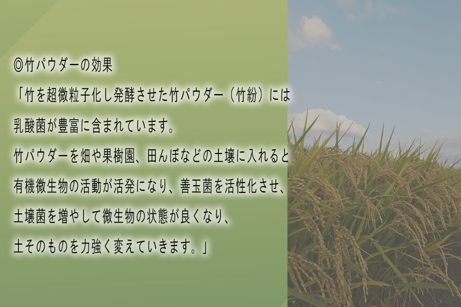 【令和7年度産】竹パウダー肥料と有機肥料100％使用　特別栽培米 [大和広陵米　かぐや]　白米10kg// ひのひかり ヒノヒカリ ブランド米 大和米 白米 安心 安全 美味しい 人気 ご飯 お米 農家 直送 奈良県 広陵町