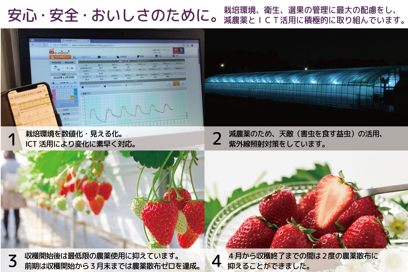 3・4月増量発送 各4パック、計8パック発送 奈良県特産 高級ブランドいちご「古都華」の２ヶ月定期便 // いちご イチゴ 古都華 フルーツ 果物 旬 限定 ブランド いちご イチゴ 古都華 フルーツ 果物 旬 限定 ブランド 朝採り 完熟 いちご ことか イチゴ 先行予約 古都華 数量限定 古都華 甘い 先行受付 予約