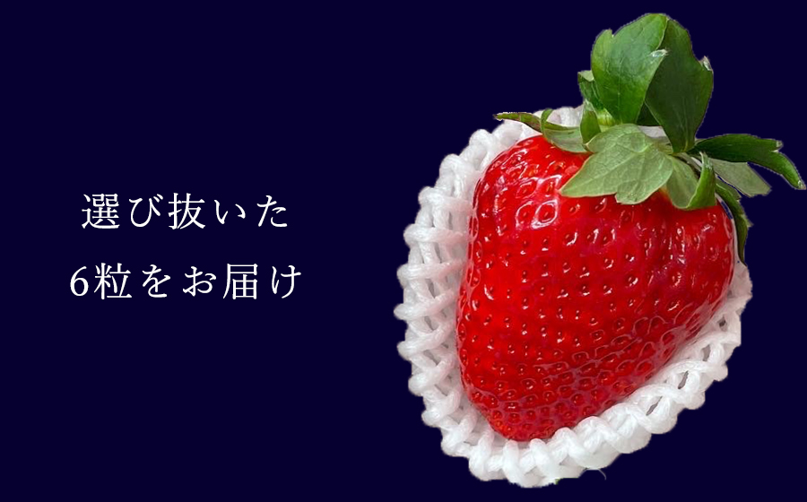 【先行予約】【古都華】【特選】 大粒 6粒 2025年3月発送 ///苺 いちご イチゴ ストロベリー  古都華 奈良 奈良県 広陵町 生産者直送  直送 厳選 数量限定 旬 フルーツ 甘い 完熟 果物