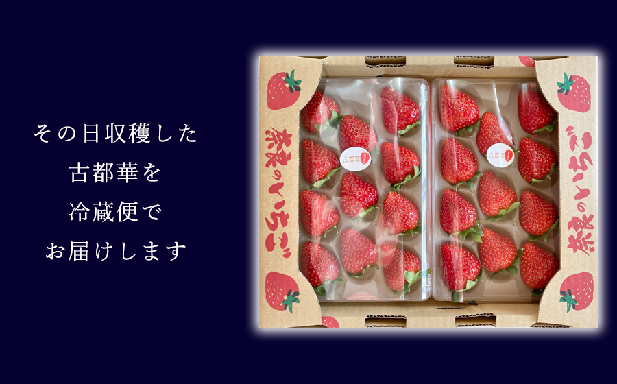 【先行予約】【古都華】4パック 2025年1月発送 ///苺 いちご イチゴ ストロベリー  古都華 奈良 奈良県 広陵町 生産者直送  直送 厳選 数量限定 旬 フルーツ 甘い 完熟 果物