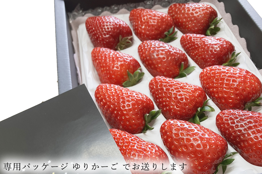 ãå
è¡äºçŽããå€éœè¯ã1ãã㯠2026幎1æçºé ///èº ãã¡ã ã€ã㎠ã¹ããããªãŒ å€éœè¯ å¥è¯ å¥è¯ç åºéµçº çç£è
çŽé çŽé å³éž æ°ééå® æ¬ ãã«ãŒã çã å®ç æç©