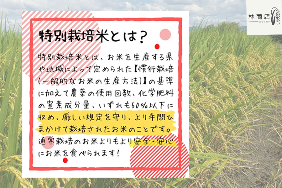 【定期便先行予約】【令和7年 1月〜 6ヶ月定期便】　特別栽培米　奈良県広陵町産ヒノヒカリ　白米5kg×6ヶ月 /// ひのひかり ヒノヒカリ ブランド米 大和米 白米 安心 安全 美味しい 人気 奈良県 広陵町 特別栽培米