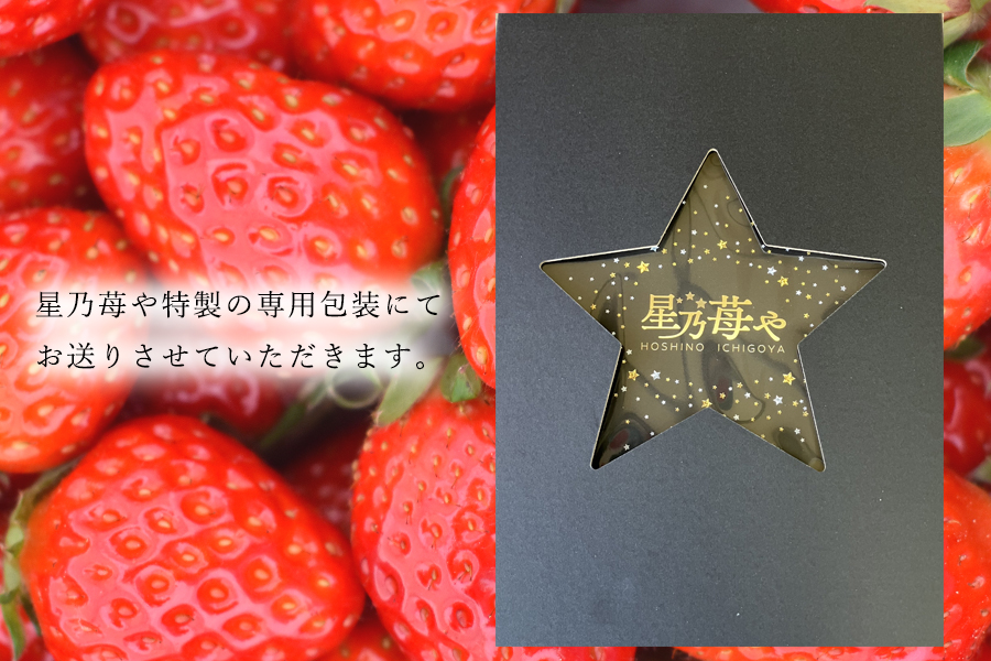 ãå
è¡äºçŽããå€éœè¯ã1ãã㯠2026幎2æçºé ///èº ãã¡ã ã€ã㎠ã¹ããããªãŒ å€éœè¯ å¥è¯ å¥è¯ç åºéµçº çç£è
çŽé çŽé å³éž æ°ééå® æ¬ ãã«ãŒã çã å®ç æç©