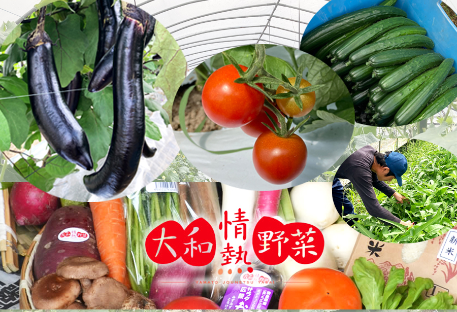 大和情熱野菜の玉手箱／旬の野菜セット／季節の野菜