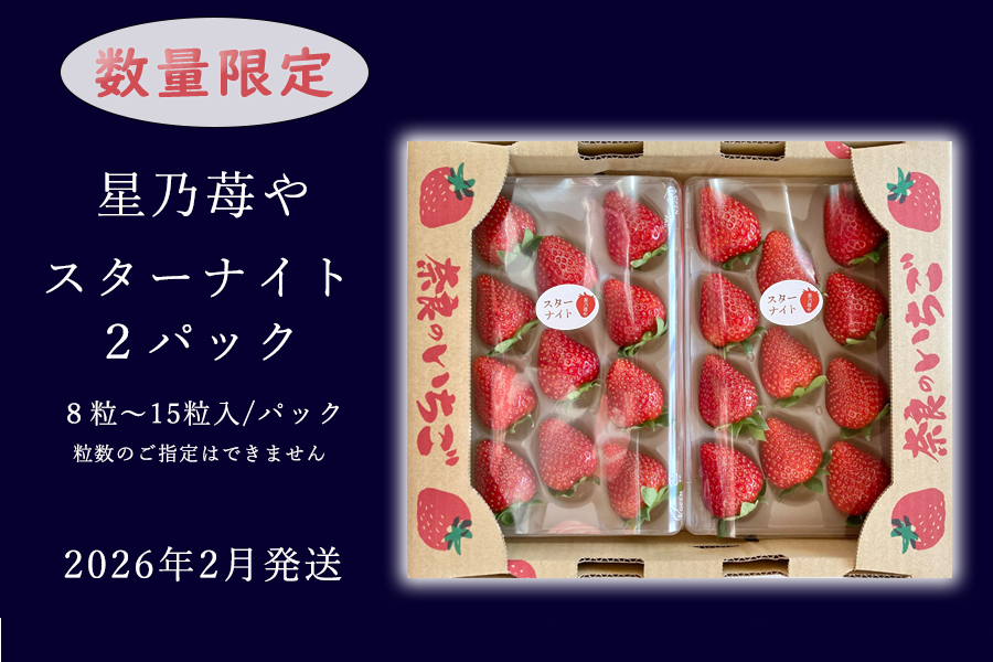 【先行予約】【スターナイト】2パック 2026年2月発送 // 苺 いちご イチゴ ストロベリー スターナイト 奈良 奈良県 広陵町 生産者直送  直送 厳選 数量限定 旬 フルーツ 甘い 完熟 果物