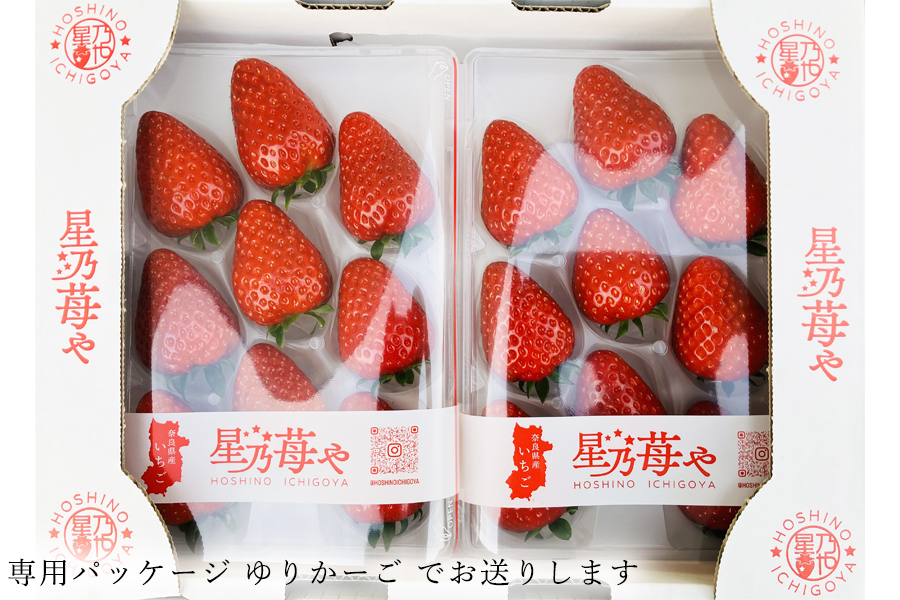 【先行予約】【古都華】2パック 2026年3月発送 ///苺 いちご イチゴ ストロベリー  古都華 奈良 奈良県 広陵町 生産者直送  直送 厳選 数量限定 旬 フルーツ 甘い 完熟 果物