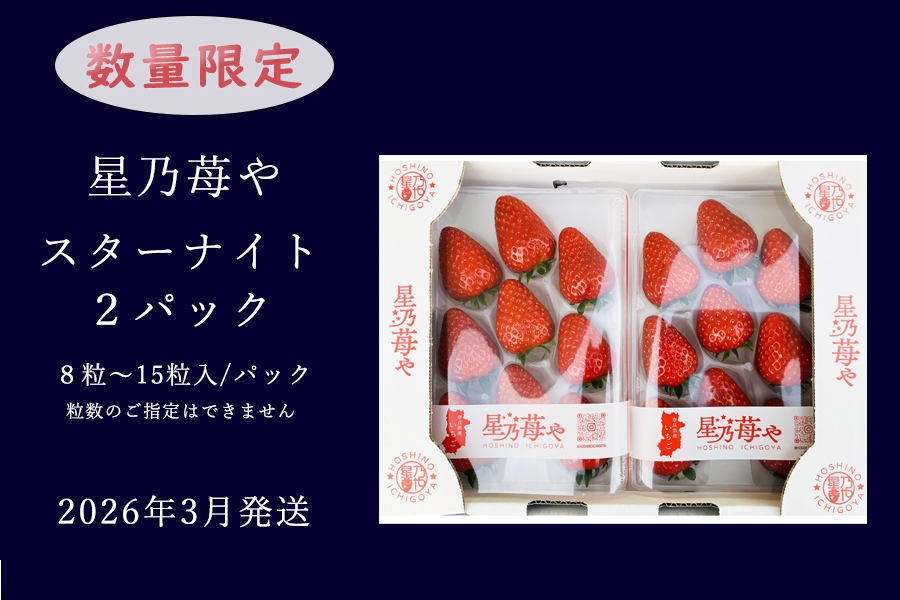 【先行予約】【スターナイト】2パック 2026年3月発送 // 苺 いちご イチゴ ストロベリー スターナイト 奈良 奈良県 広陵町 生産者直送  直送 厳選 数量限定 旬 フルーツ 甘い 完熟 果物