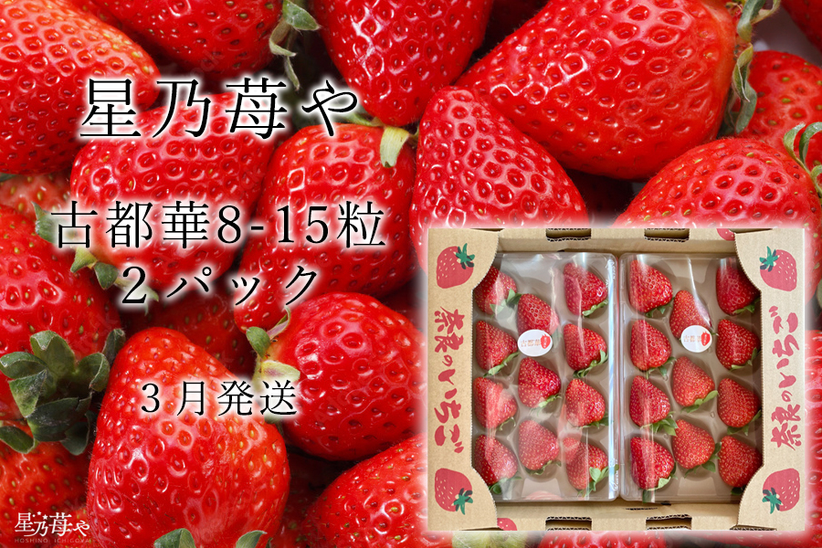 【先行予約】【古都華】2パック 2025年3月発送 ///苺 いちご イチゴ ストロベリー  古都華 奈良 奈良県 広陵町 生産者直送  直送 厳選 数量限定 旬 フルーツ 甘い 完熟 果物