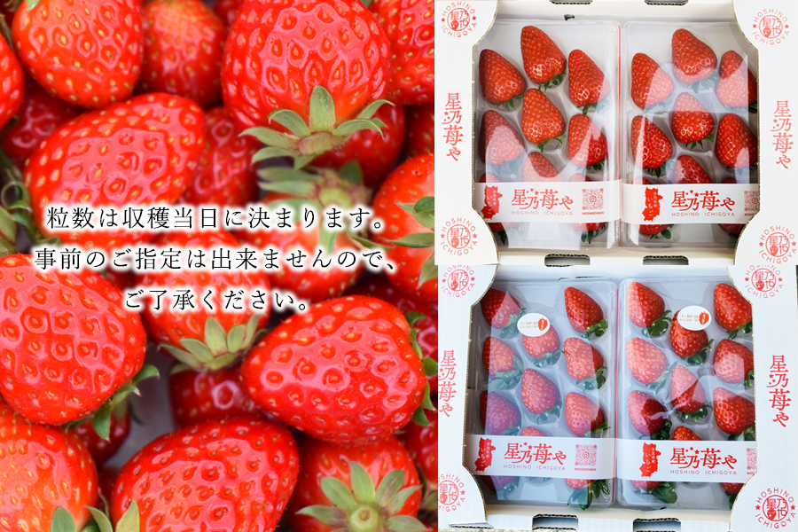 【先行予約】【古都華】2パック 2026年3月発送 ///苺 いちご イチゴ ストロベリー  古都華 奈良 奈良県 広陵町 生産者直送  直送 厳選 数量限定 旬 フルーツ 甘い 完熟 果物