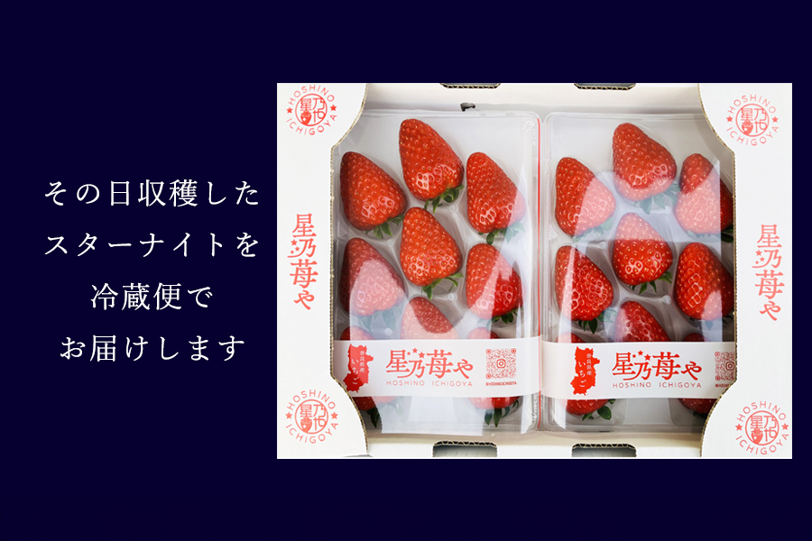 【先行予約】【スターナイト】2パック 2026年3月発送 // 苺 いちご イチゴ ストロベリー スターナイト 奈良 奈良県 広陵町 生産者直送  直送 厳選 数量限定 旬 フルーツ 甘い 完熟 果物