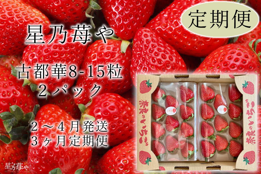 【先行予約】【古都華】【3ヶ月定期便】2パック 2025年2月発送開始// 苺 いちご イチゴ ストロベリー  古都華 奈良 奈良県 広陵町 生産者直送  直送 厳選 数量限定 旬 フルーツ 甘い 完熟 果物 定期便