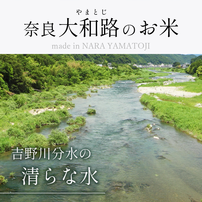 O7-3 【定期便3回】奈良大和路 ひのひかり 5㎏ | 単一米 コメ こめ ゴハン ご飯 ごはん 大容量 奈良県 大淀町 ヒノヒカリ もちもち