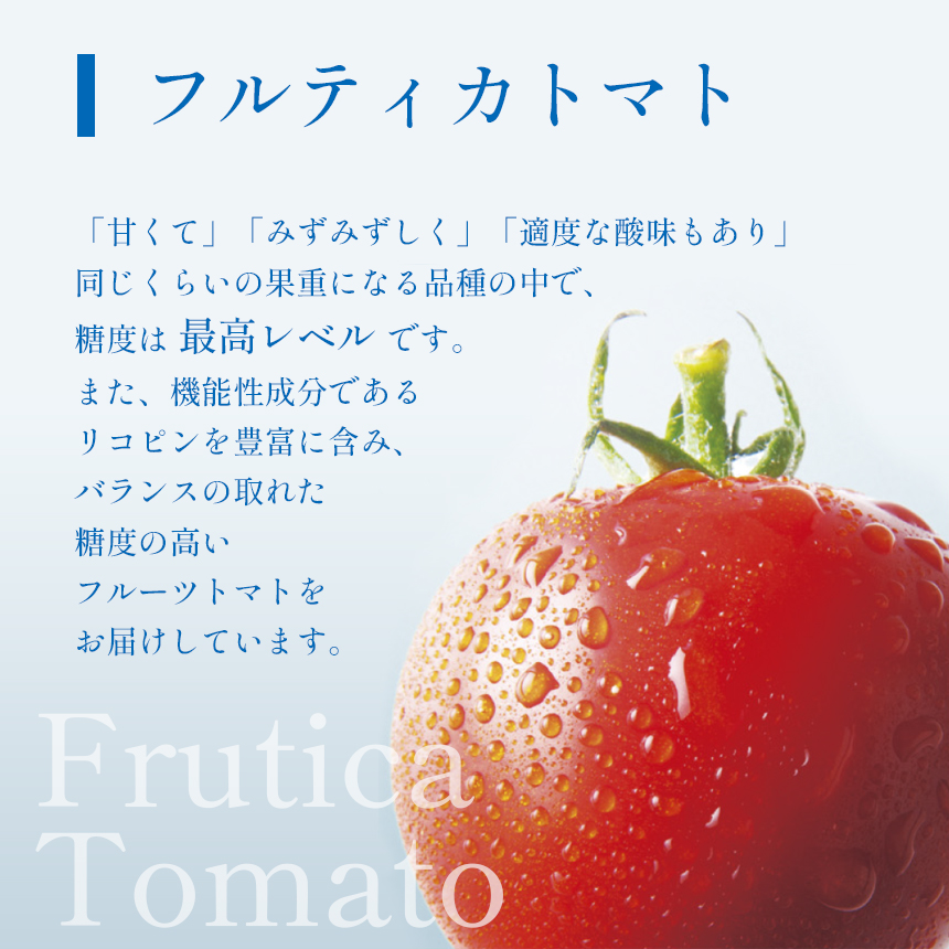 F6 ごちそうトマト 「フルティカ」 1kg | 野菜 トマト フルーツトマト 甘い 糖度高い 1000g 近鉄ふぁーむ 奈良県 大淀町