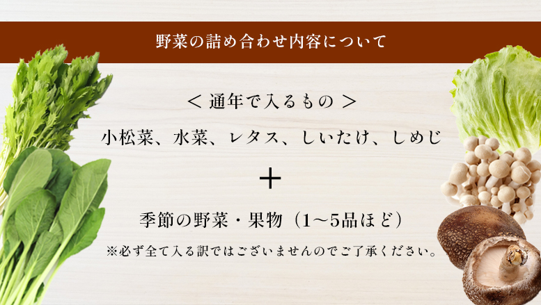 F2 大淀町 道の駅 旬の野菜 6〜10品目 と お米 5kg のセット | 野菜 米 旬 採れたて 新鮮 厳選 詰め合わせ おためし 道の駅 奈良県 大淀町