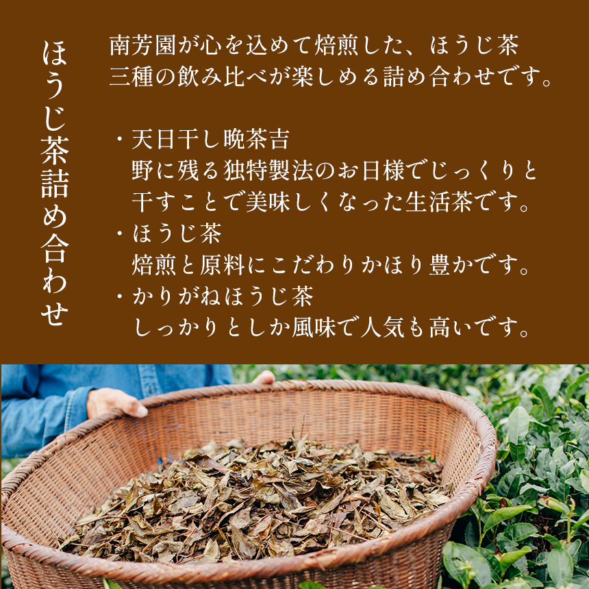 B6 【南芳園】ほうじ茶詰め合わせ | 茶 日本茶 晩茶 ほうじ茶 焙じ茶 詰め合わせ 奈良県 大淀町