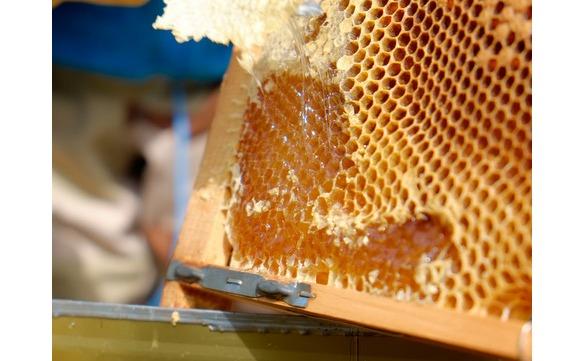 天川のはちみつ　3本セット