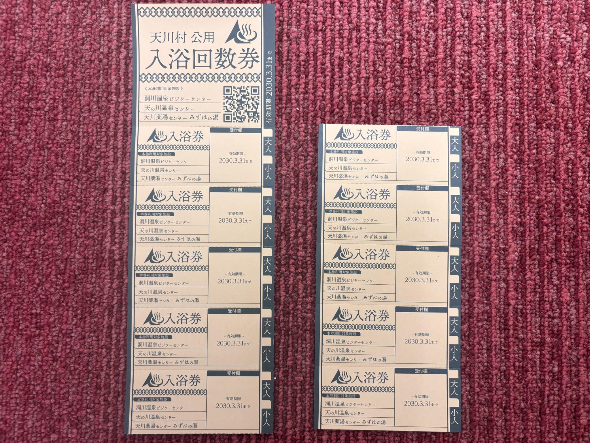 天川村日帰り入浴施設入浴券 10枚セット