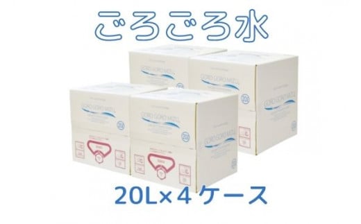 大峰山の超名水　ごろごろ水　20L×4ケース
