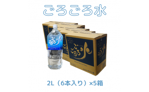 大峰山の超名水　ごろごろ水　2L×5ケース