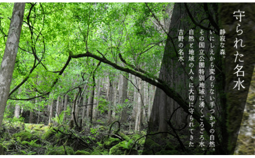 螟ァ蟲ー螻ア縺ョ雜蜷肴ーエ縲縺斐m縺斐m豌エ縲500mlテ3繧ア繝シ繧ケ